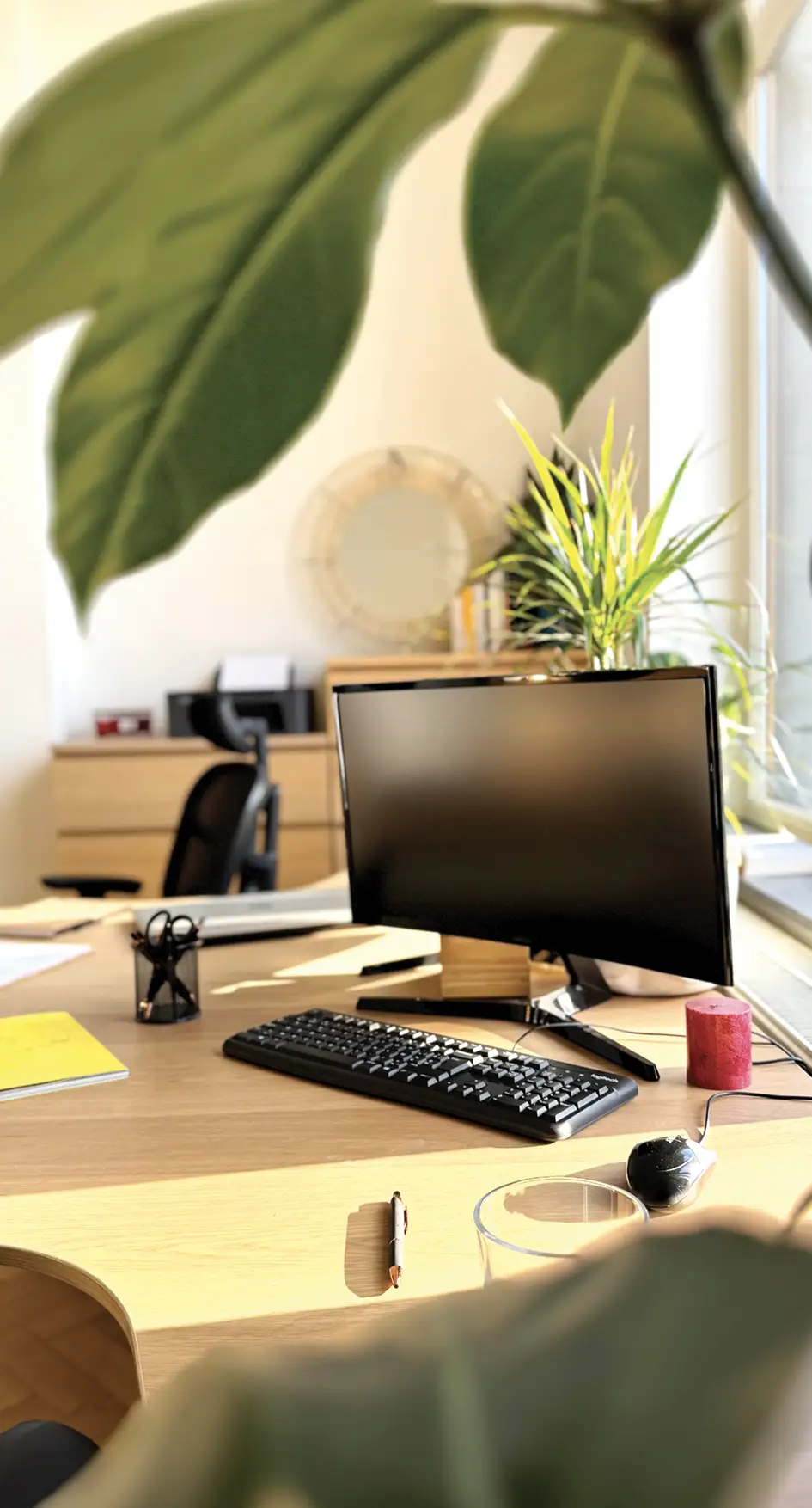 Image - Espace de travail - Canopy Workspace